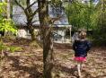 Wat is het mooiste Landal park?
