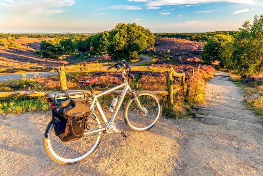 De 10 mooiste natuurgebieden van Nederland