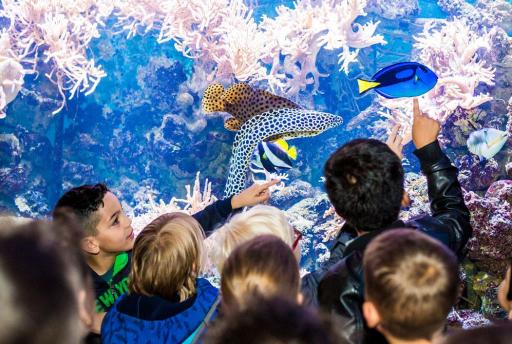16 x De leukste kinderuitjes van Zeeland