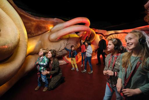 Wat is een leuk museum voor kinderen? 7x Tips!