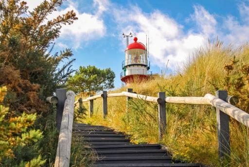 Wat te doen op Vlieland? 15x Leuke uitjes & bezienswaardigheden