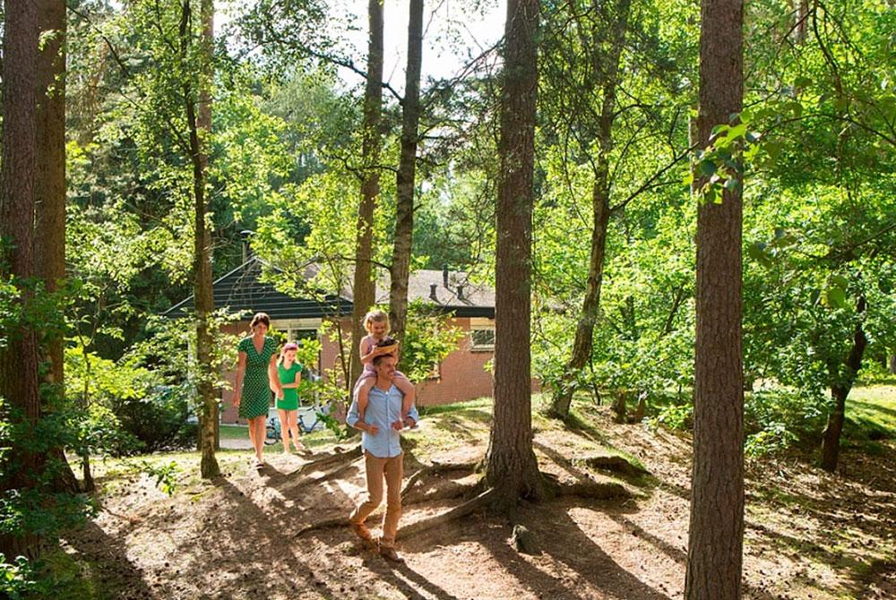 Vakantiepark op de Veluwe: Welk park moet ik kiezen?