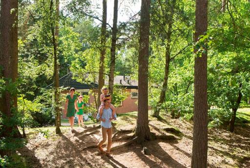 Vakantiepark op de Veluwe: Welk park moet ik kiezen?
