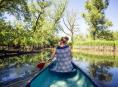 De Biesbosch: Leukste activiteiten en mooiste plekken om te overnachten