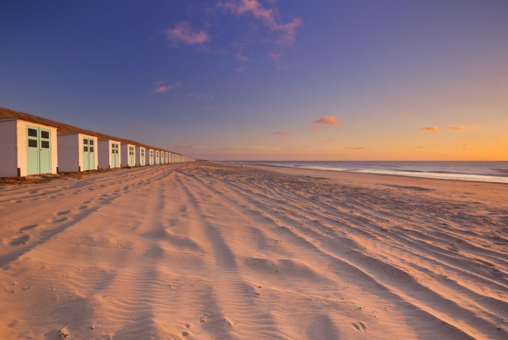 Texel