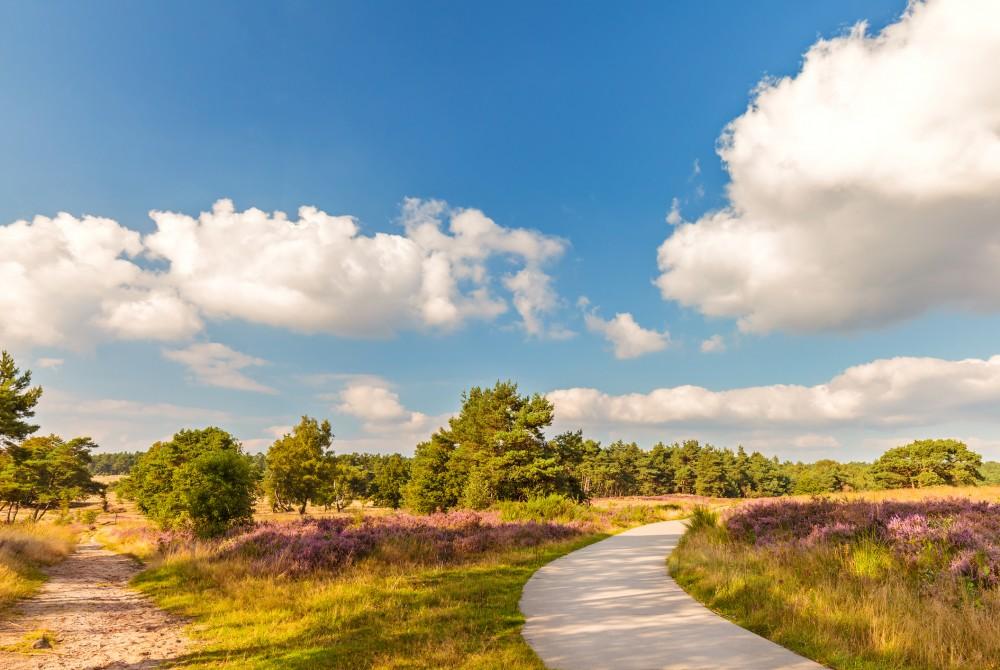De Veluwe