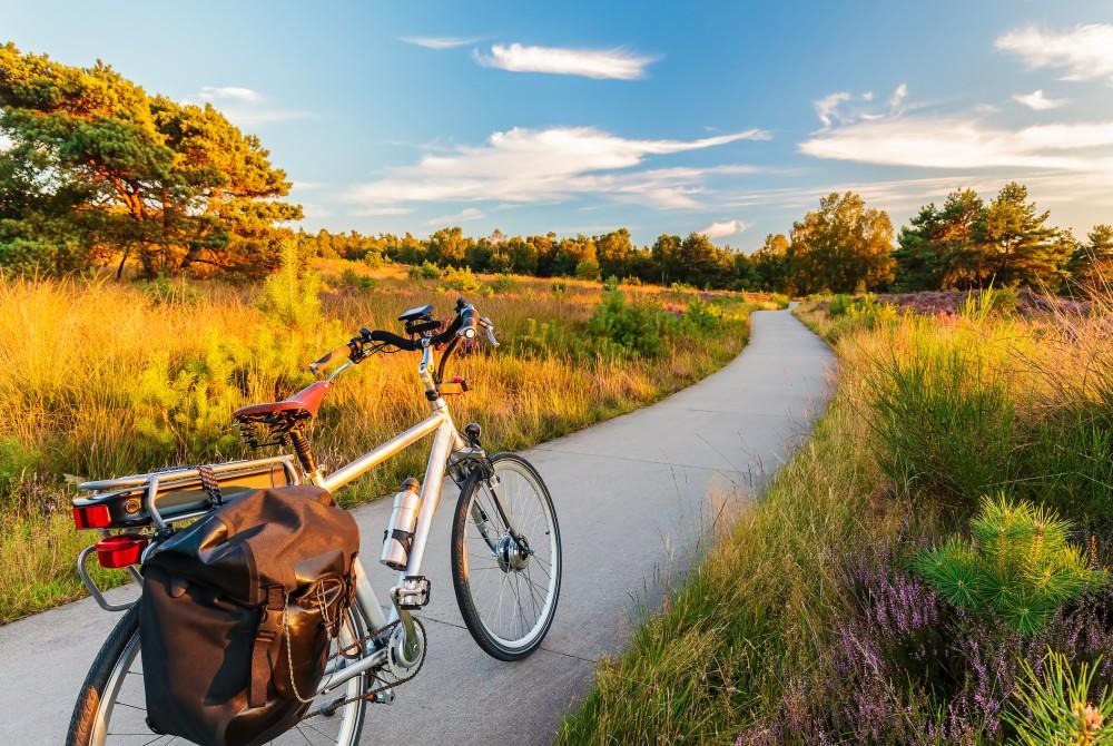 Fietsen in de Veluwe