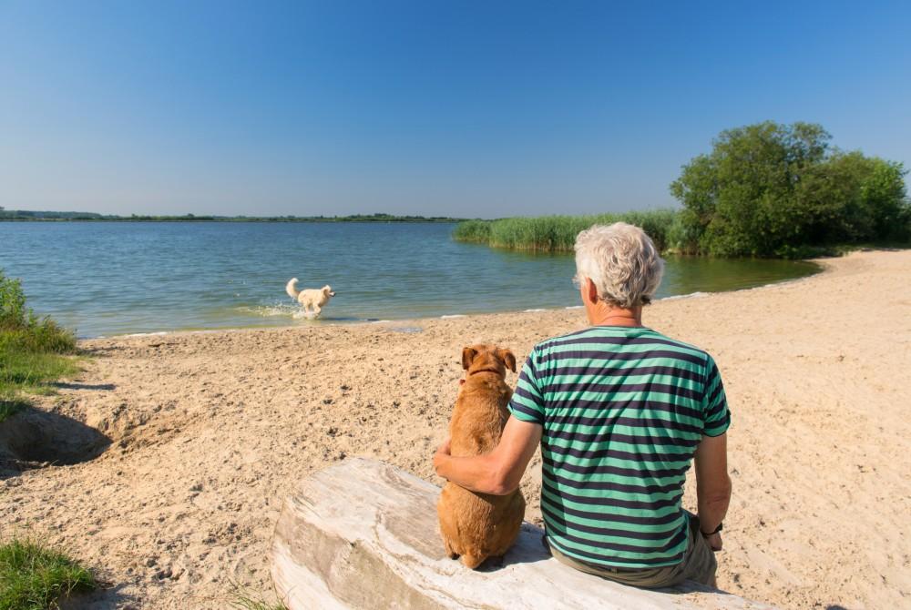 Het Veluwemeer