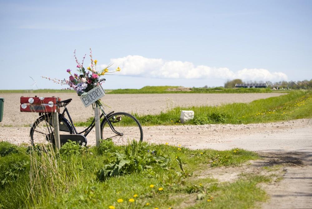 Fietsen op Texel