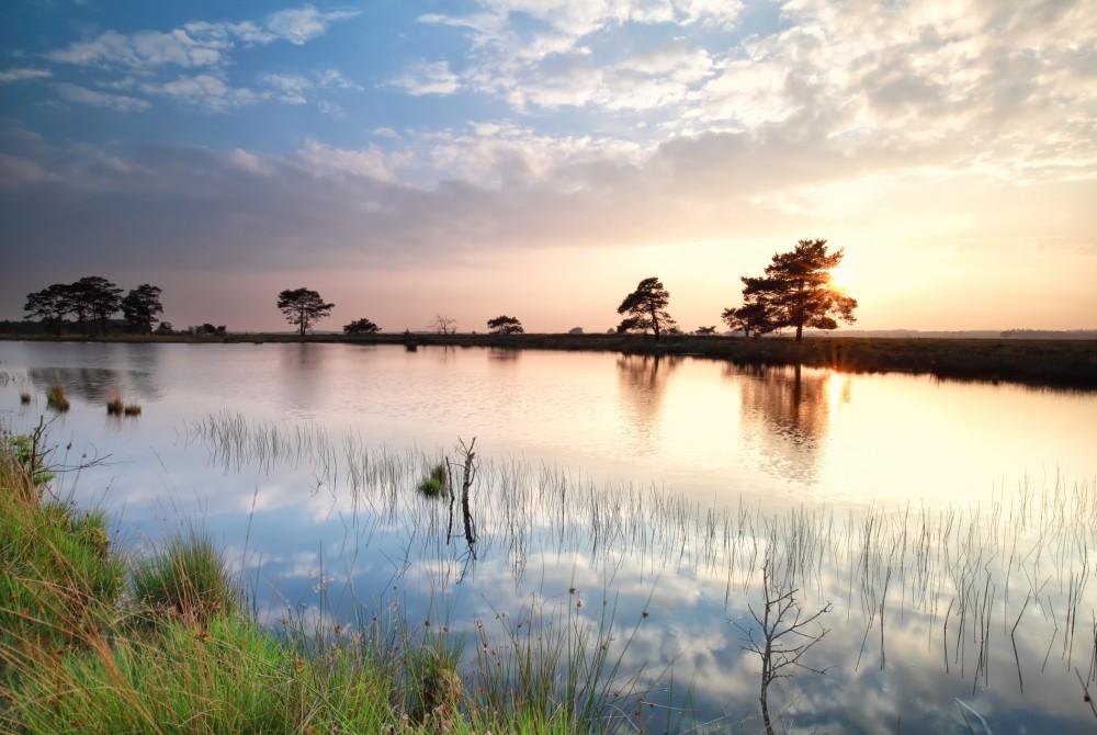 Drenthe
