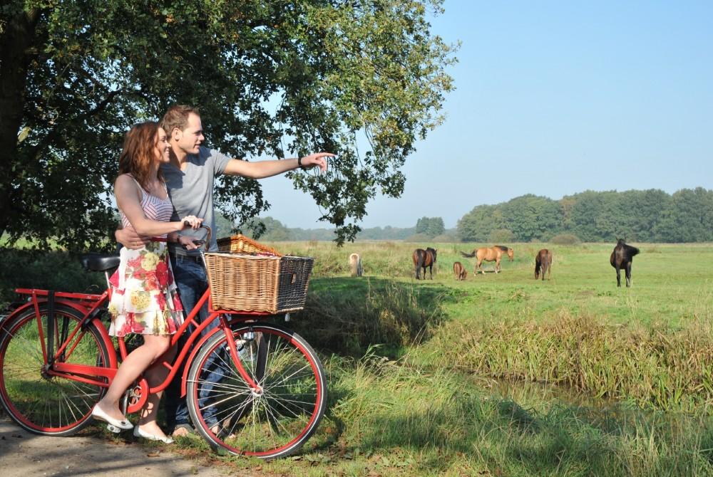 Fietsen in Drenthe