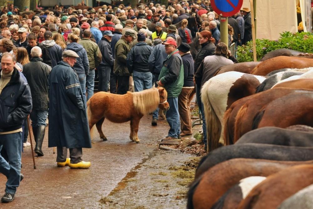Zuidlaardermarkt 