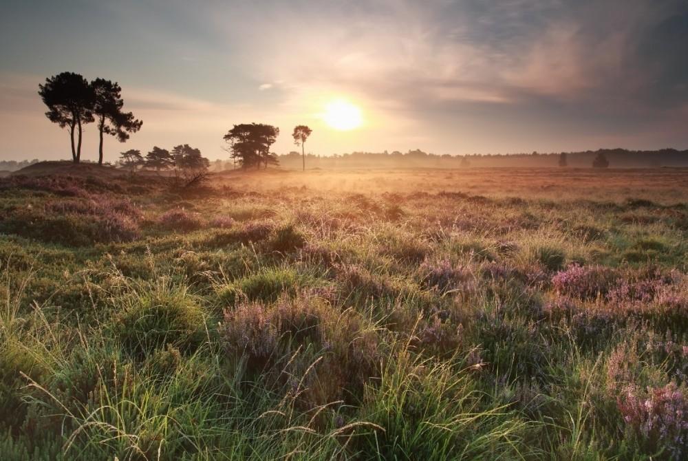 Mooi Drenthe