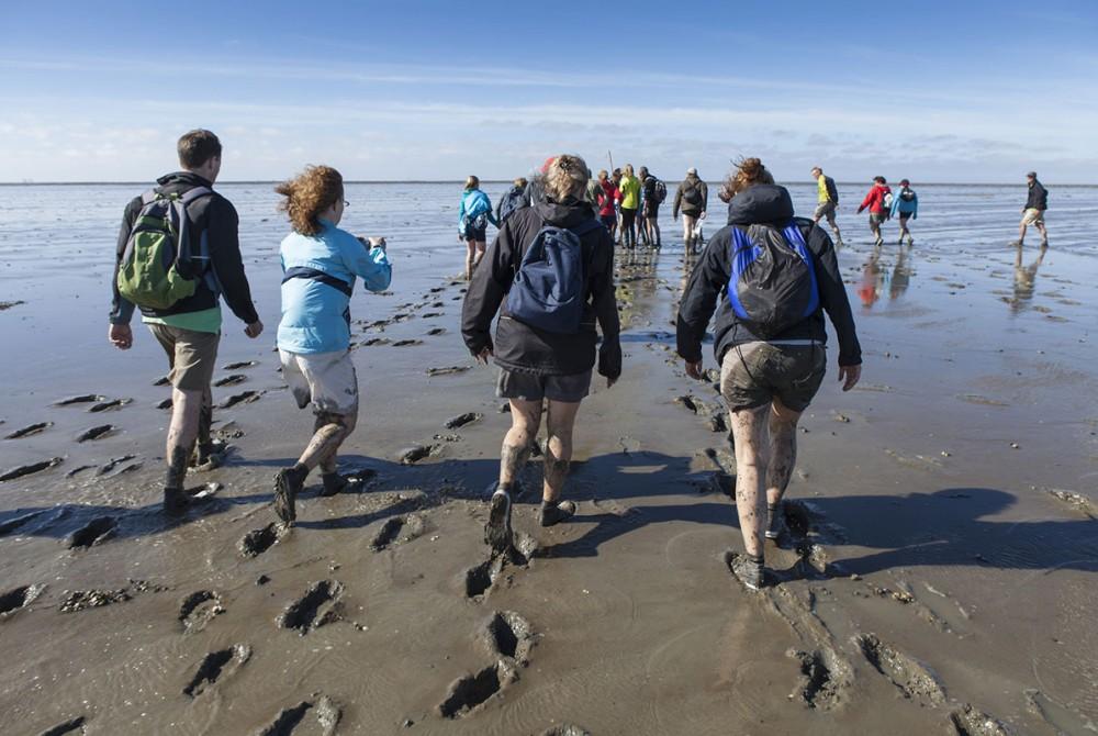 Wadlopen