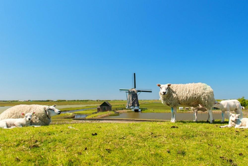 Vakantiepark op Texel