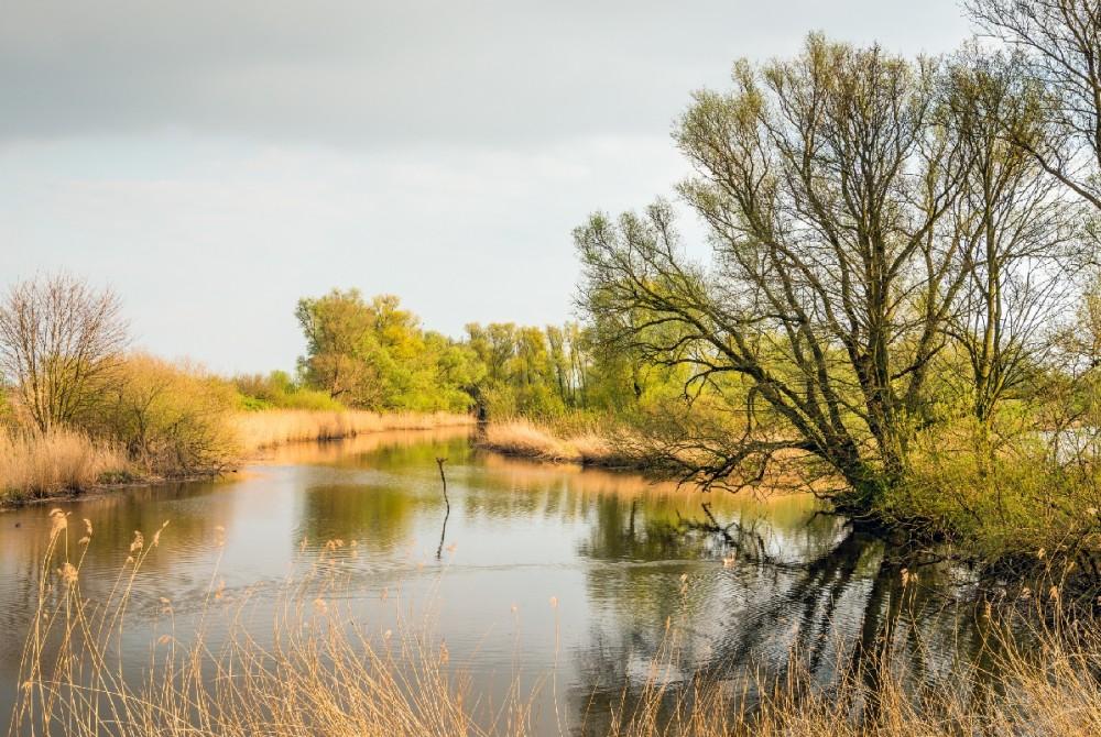 De waterwegen van De Biesbosch