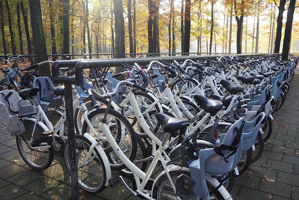 Gratis fietsen van het Nationale Park De Hoge Veluwe