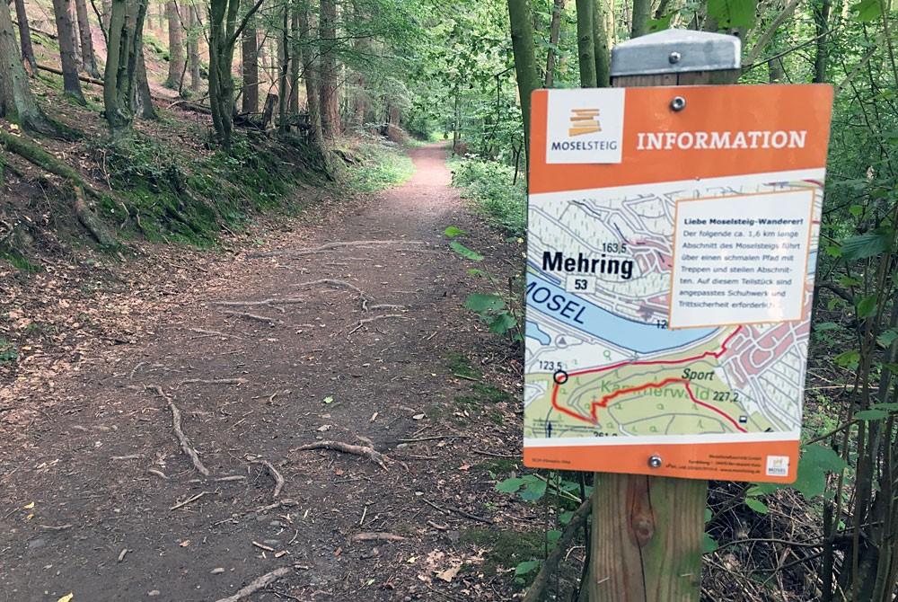 Wandelen bij de Moezel, Landal Sonnenberg