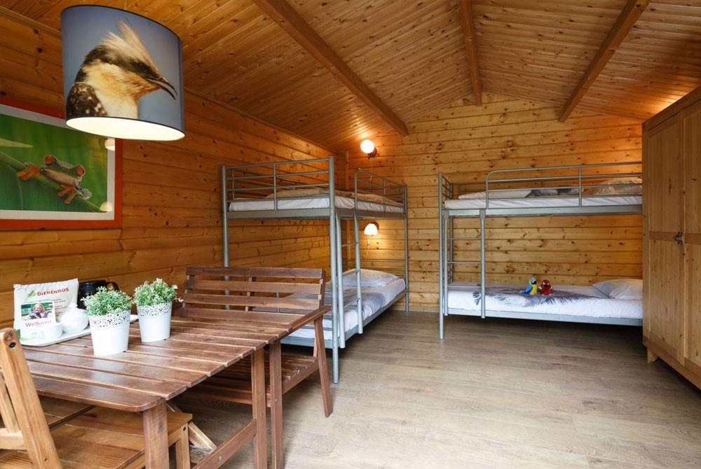 Overnachten in een boomhut, Vakantiepark Dierenbos