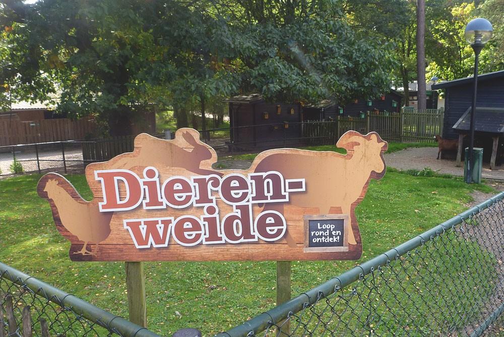 De dierenweide, Landal Coldenhove
