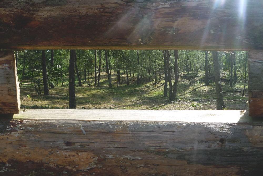 Wild observeren op de Veluwe, Landal Coldenhove