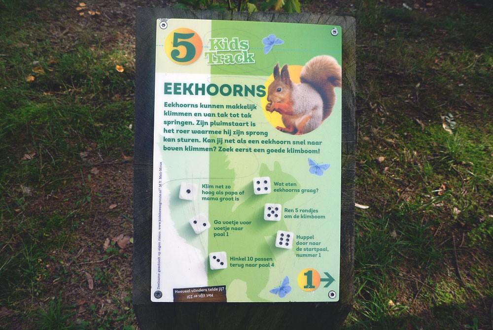 Kids track, Landal Heideheuvel