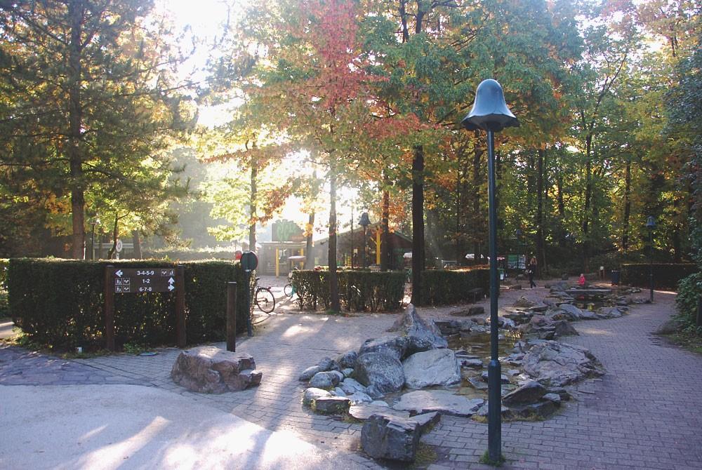 Veel bomen in Center Parcs Het Heijderbos