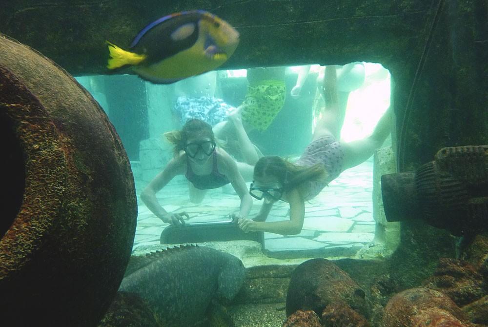Snorkelen bij Het Heijderbos