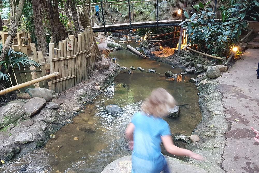 Jungle Dome, Center Parcs Het Heijderbos