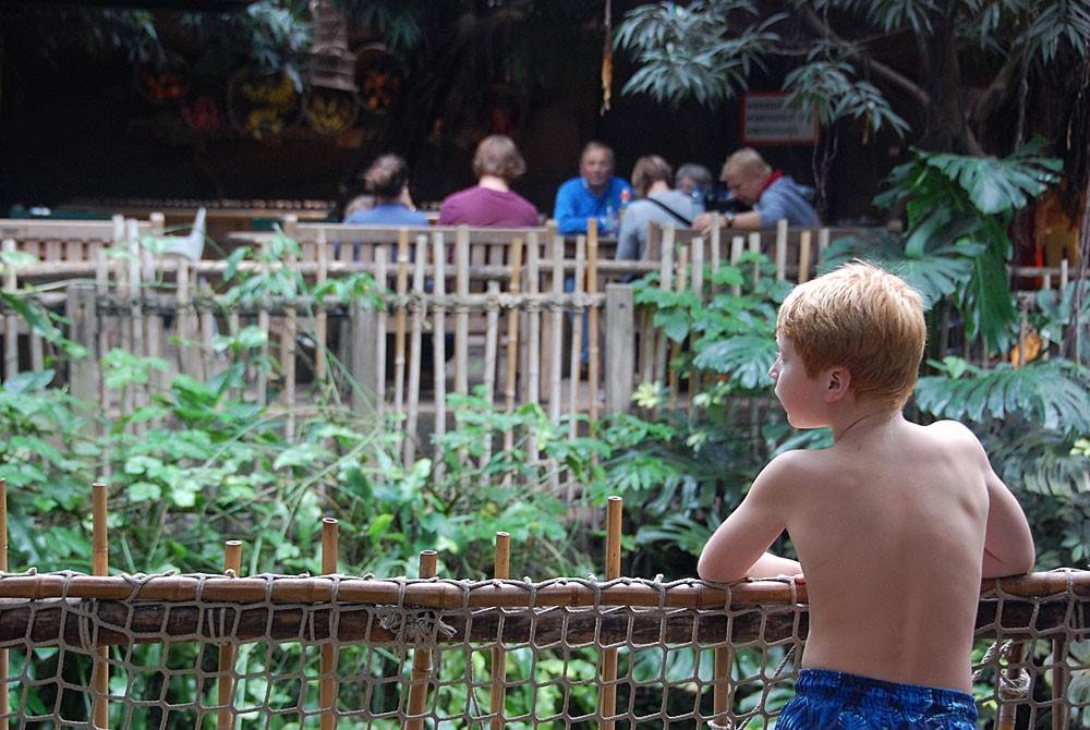 Jungle Dome