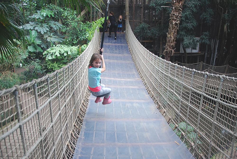 Slingeren in de jungle