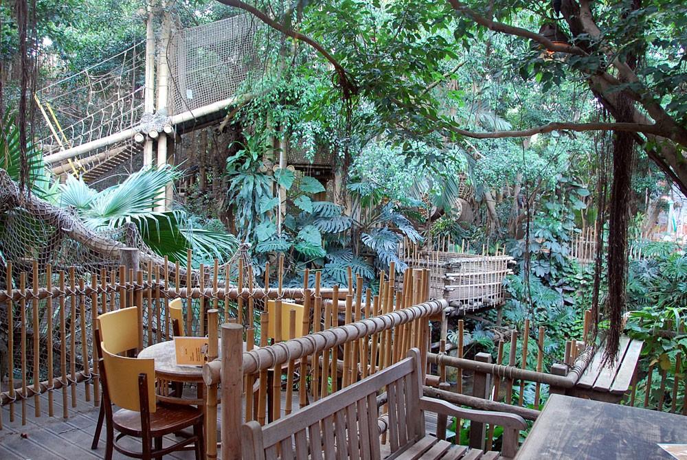 Terras in de Jungle Dome, Center Parcs Het Heijderbos