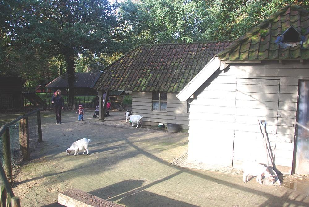 Kinderboerderij bij vakantiepark Het Heijderbos
