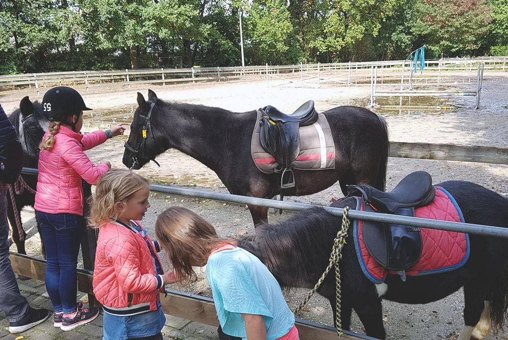 Manege bij Center Parcs Het Heijderbos