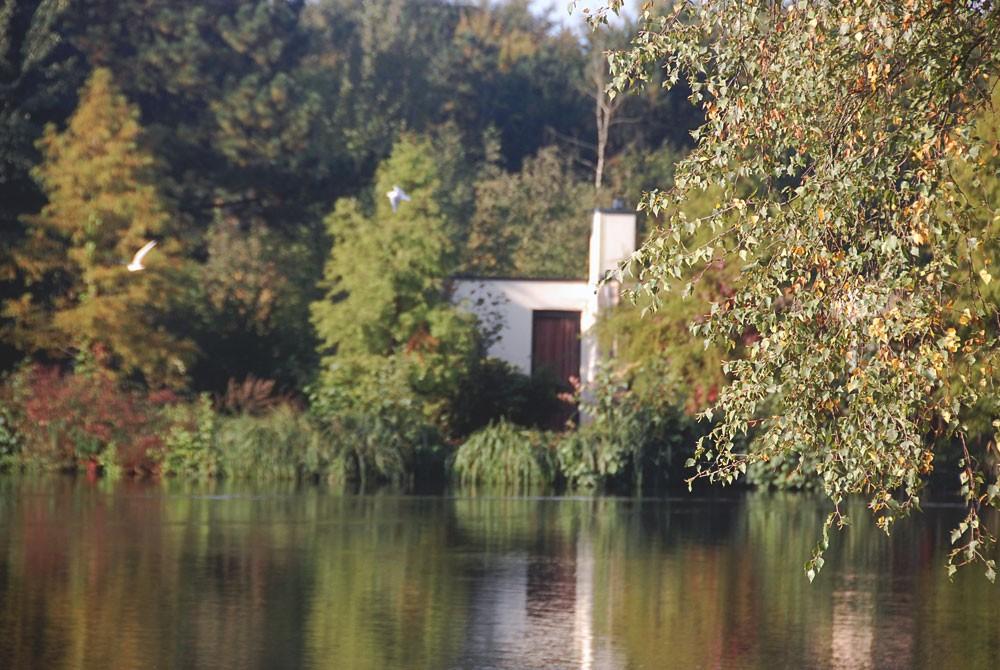Center Parcs Het Heijderbos bungalow