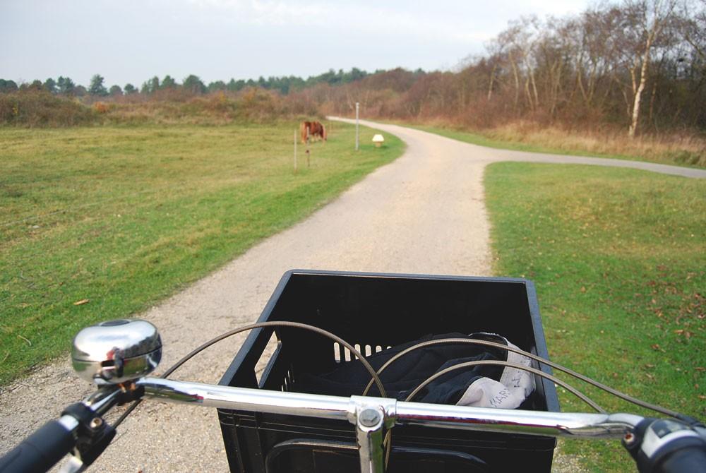 Fietsen op Schiermonnikoog