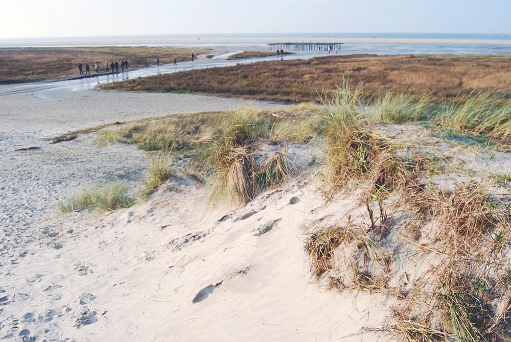 Duinen Schiermonnikoog, Landal Vitamaris