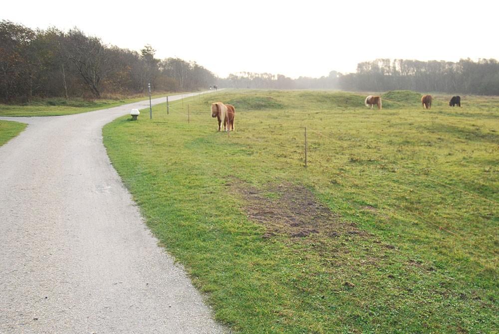 De mooie omgeving, Schiermonnikoog