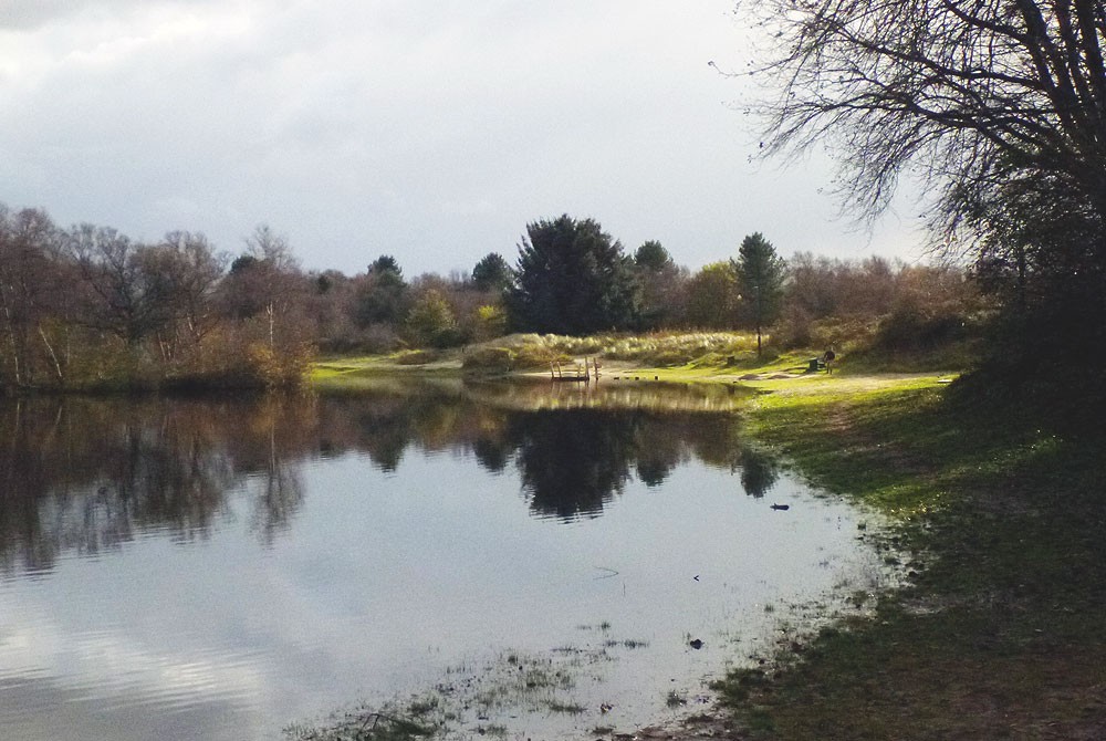 Berkenplas, Schiermonnikoog