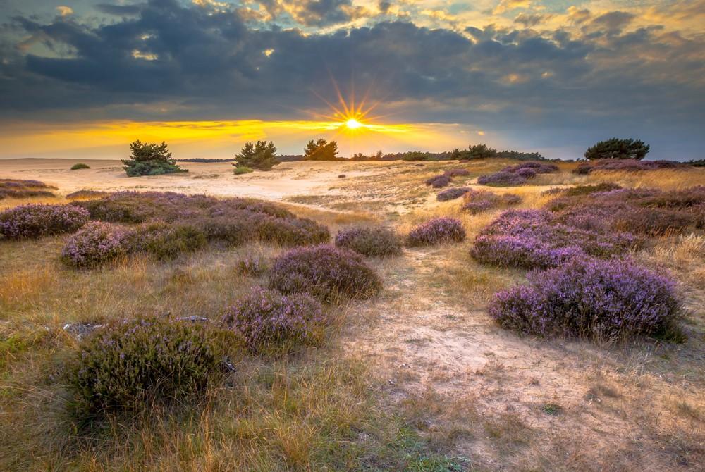 Nationaal Park De Hoge Veluwe, Gelderland