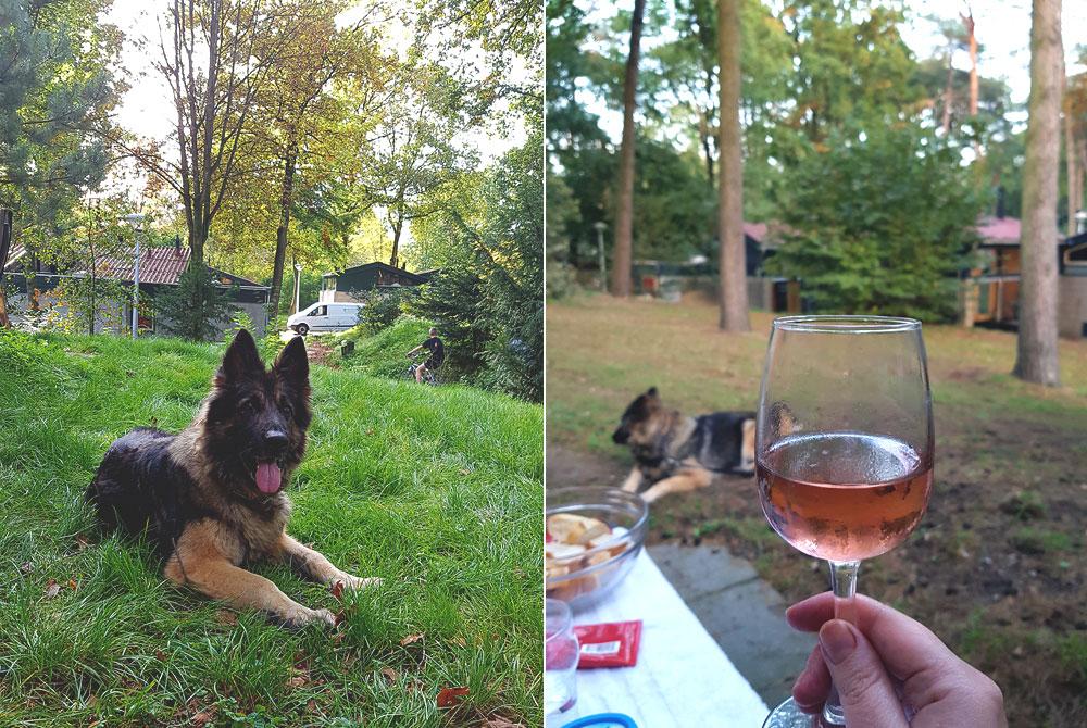 Genieten bij Landal De Lommerbergen