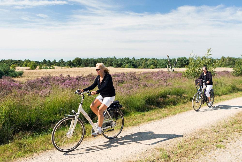 Fietsen in Nationaal Park De Maasduinen
