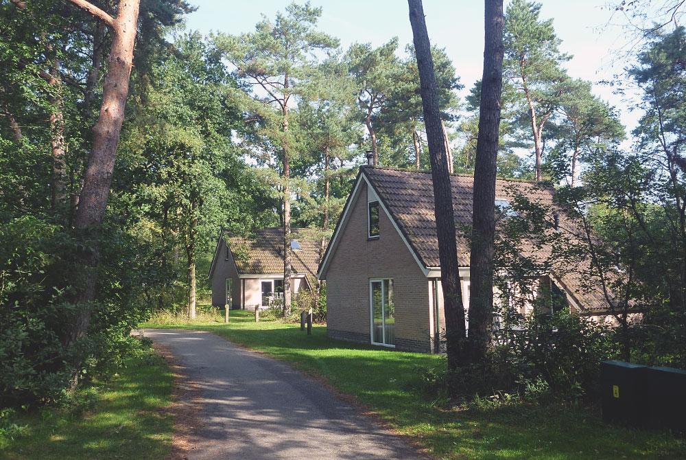 Bungalows bij Landal Twenhaarsveld