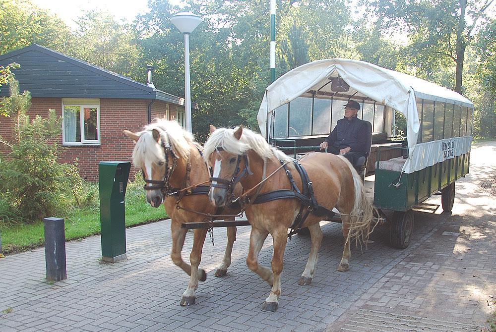 Huifkartocht, Landal Twenhaarsveld