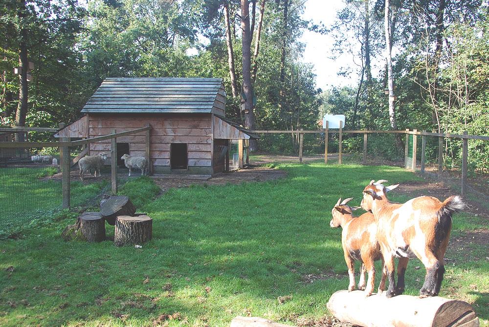 Kinderboerderij, Landal Twenhaarsveld