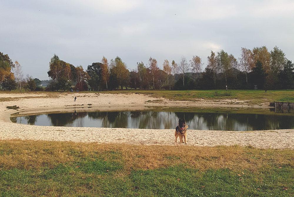Hondenvijver, Landal Twenhaarsveld
