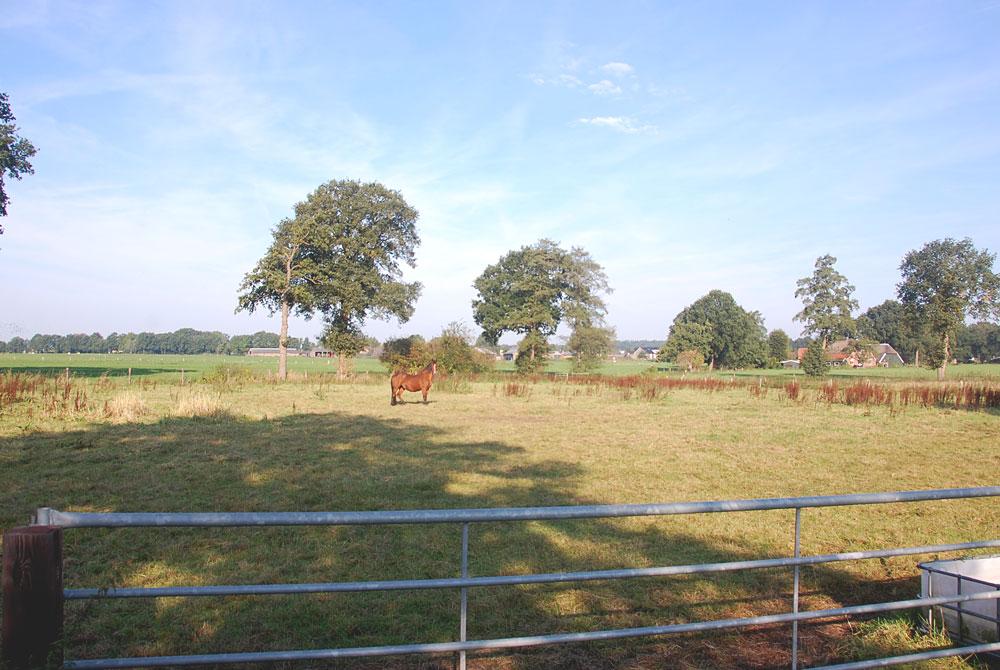 Omgeving, Landal Twenhaarsveld