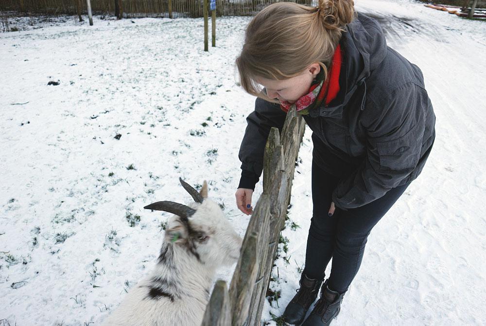 Dierenweide, Landal Miggelenberg