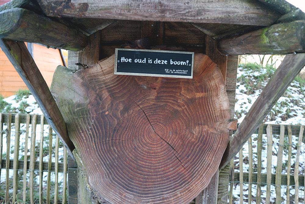 Boomringen tellen, Landal Miggelenberg