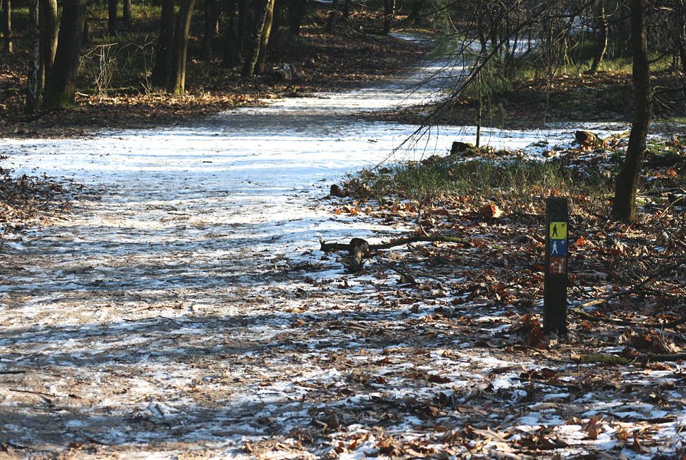 Wandelen op de Veluwe, Landal Miggelenberg